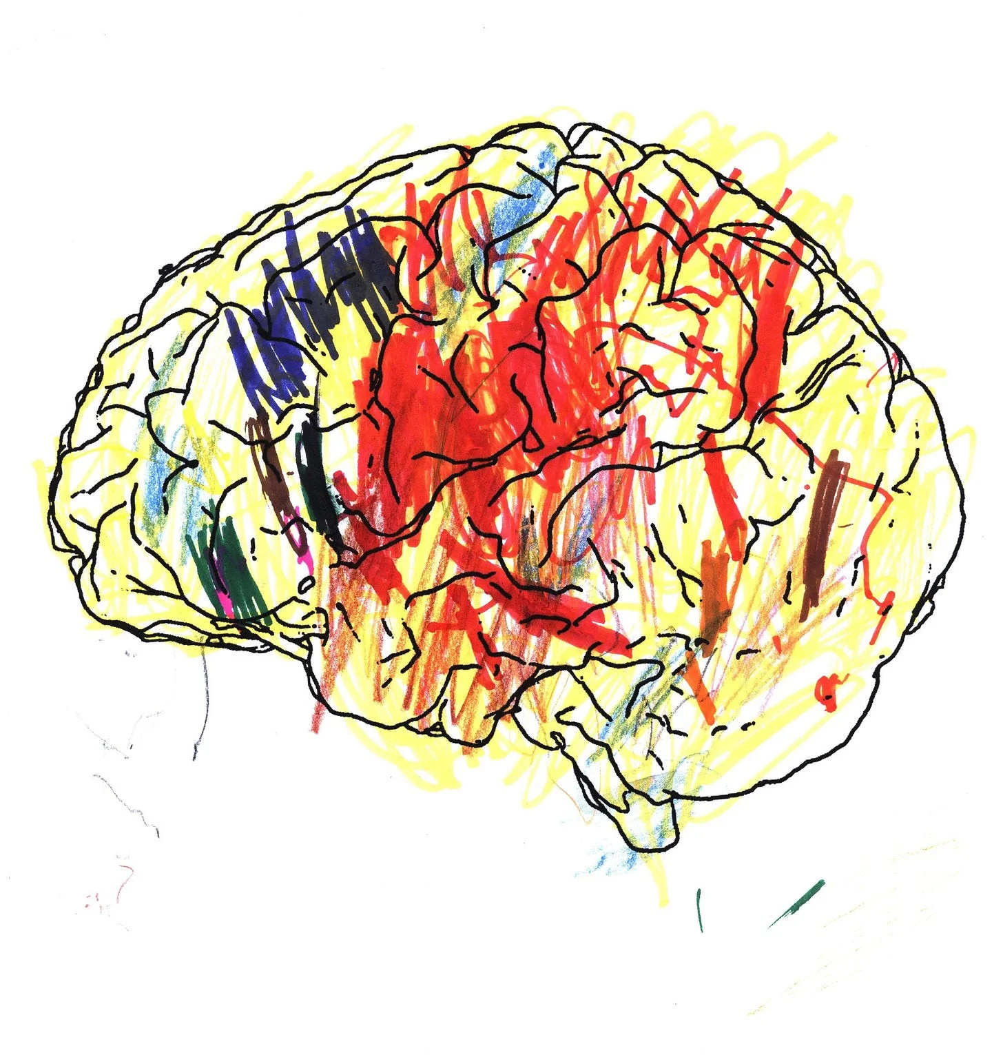 illustration - How to make this hand-colored drawing even more fancier? -  Graphic Design Stack Exchange